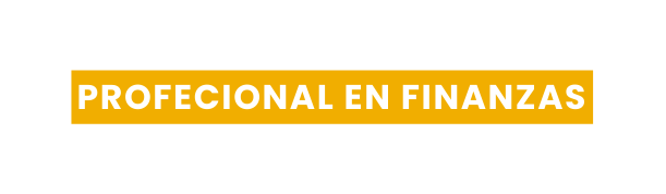 profecional en Finanzas